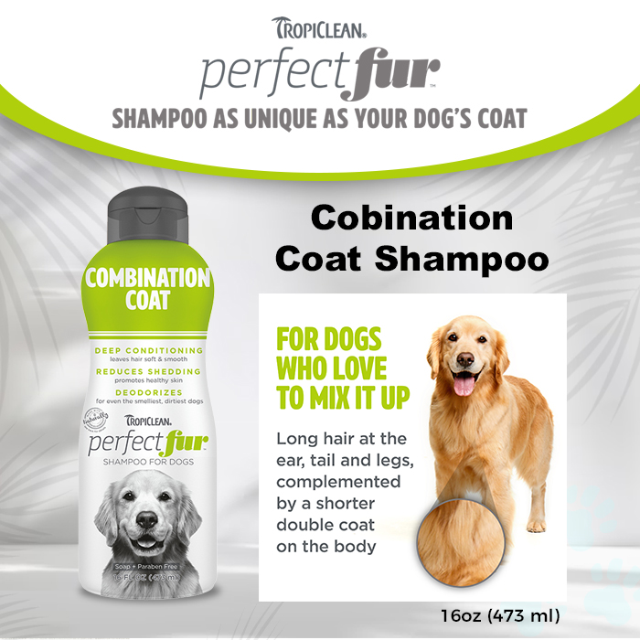 PERFECT FUR - DOG SHAMPOO COMBINATION COAT